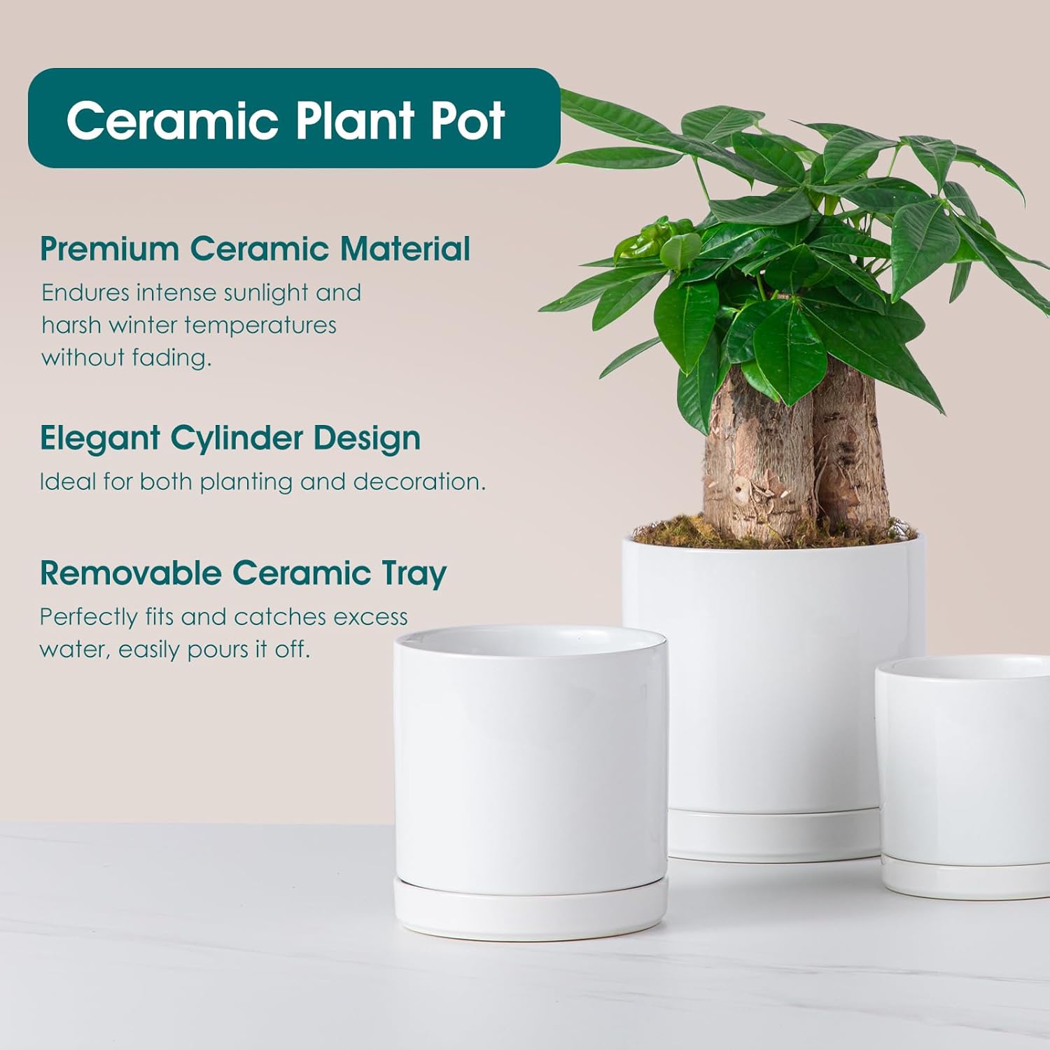 Ceramic Plant Pot Set 3-Pack