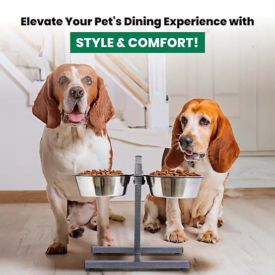 Stainless Steel Pet Bowls Set
