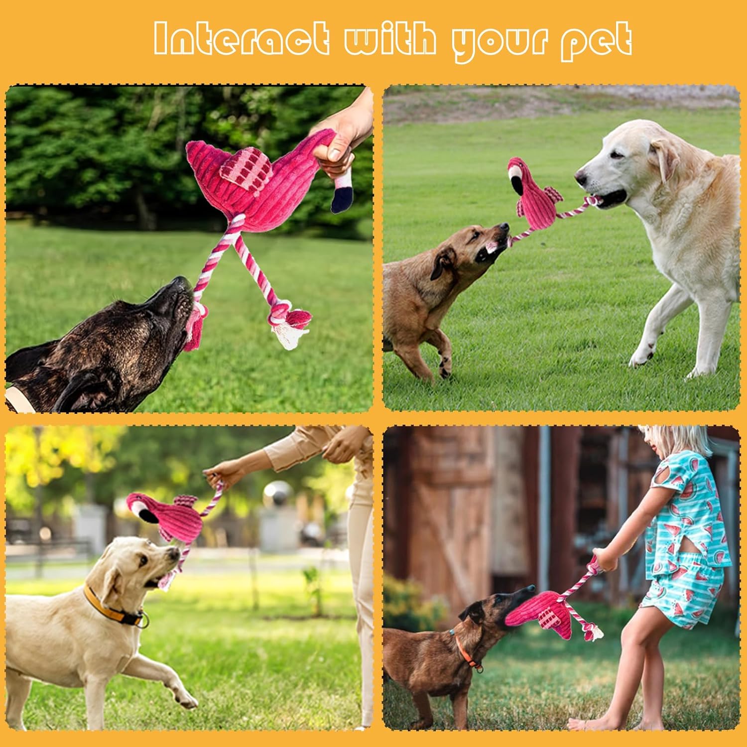 Interactive Dog Toys Pack 5-Piece